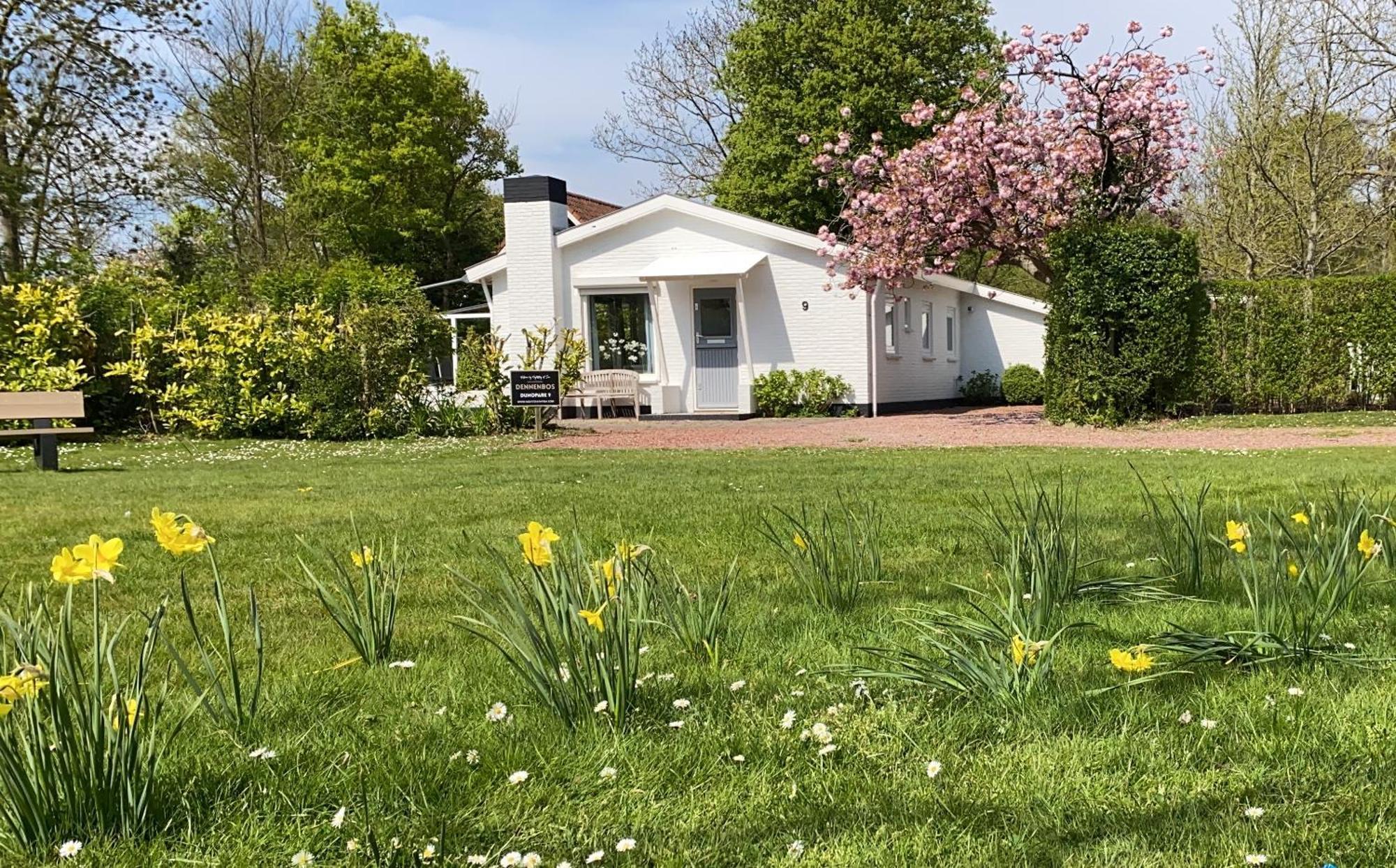 Holiday Park Dennenbos Oostkapelle Zewnętrze zdjęcie